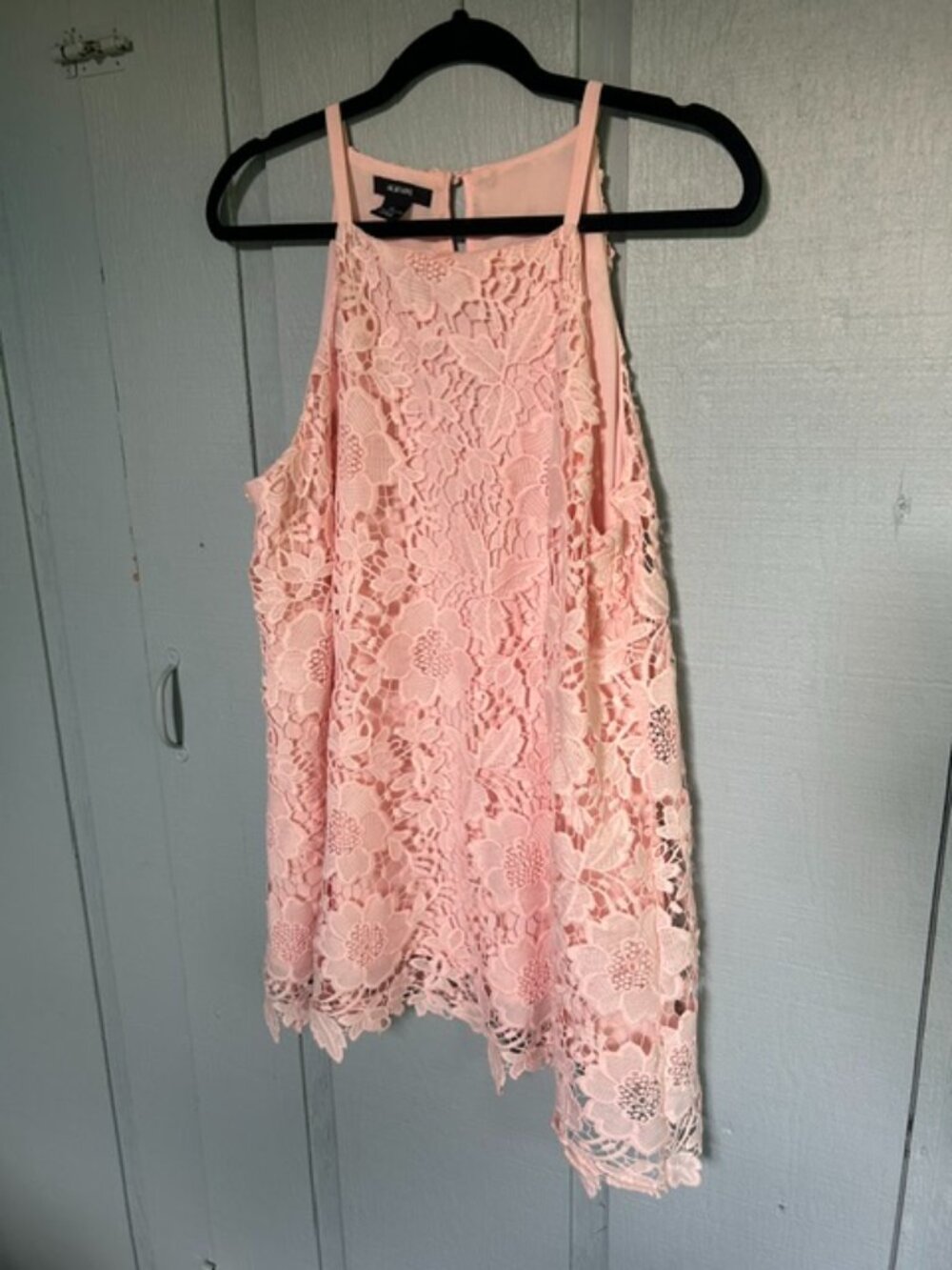 Alfani Blush Pink Floral Lace Sleeveless Blouse | Size 10